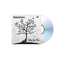 Falling Into Place CD