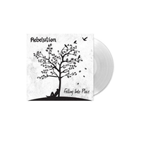 Falling Into Place Vinyl