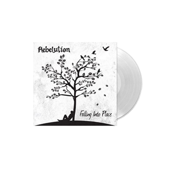 Falling Into Place Vinyl