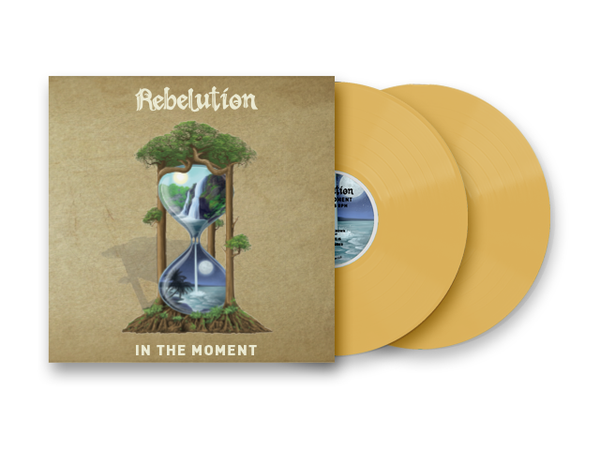 In The Moment Vinyl